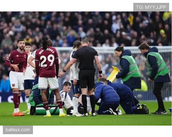 英超戴维斯热刺